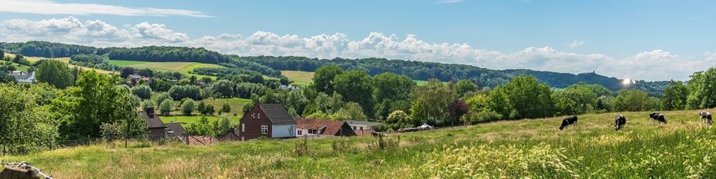 Groen landschap