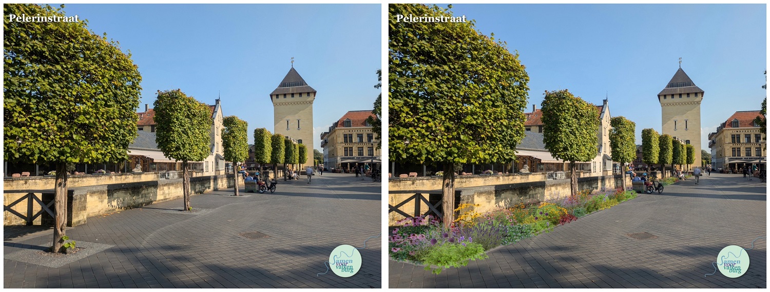 Pelerinstraat