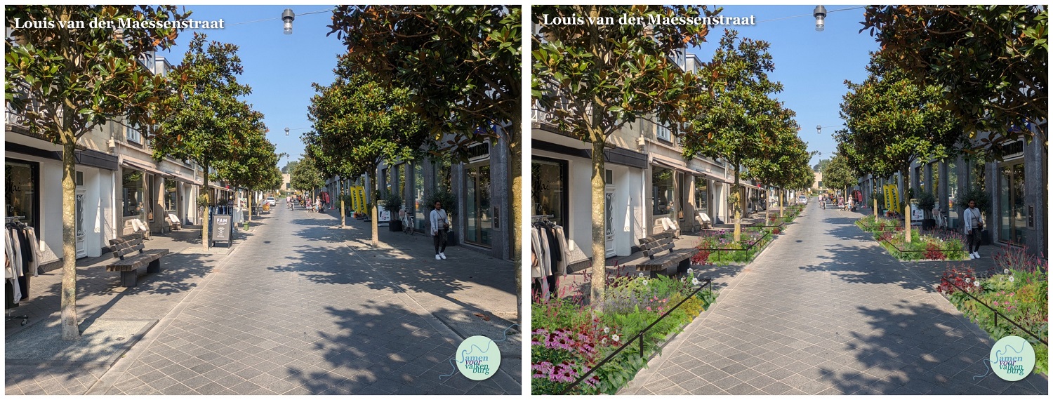 Louis van der Maessenstraat