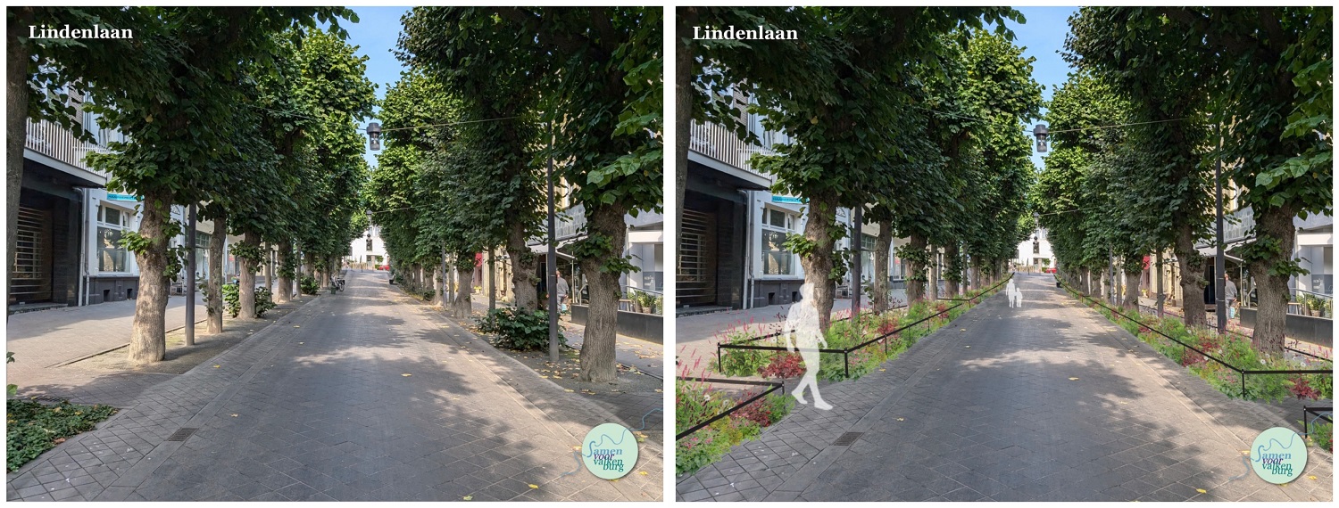 Lindenlaan